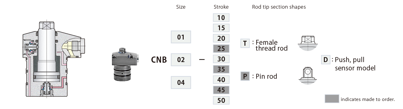 CNB-D